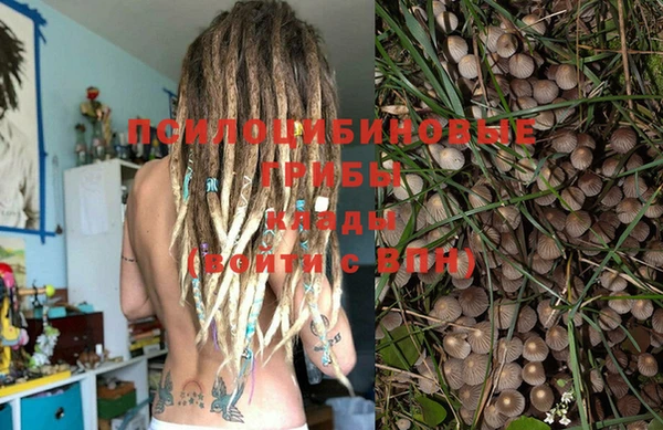 винт Белая Холуница