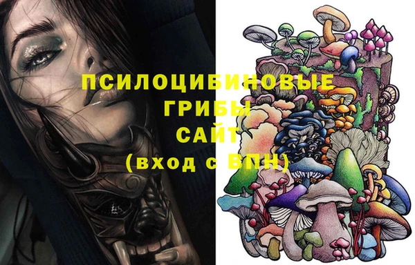 соль ск Арсеньев