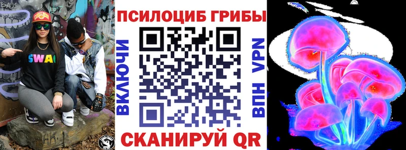 купить наркотик  Шуя  Псилоцибиновые грибы MAGIC MUSHROOMS 