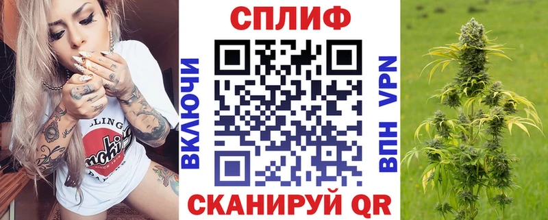 Марихуана гибрид  Шуя 